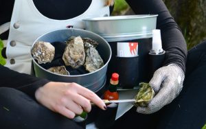 I Sommelier delle Ostriche di Red Oyster